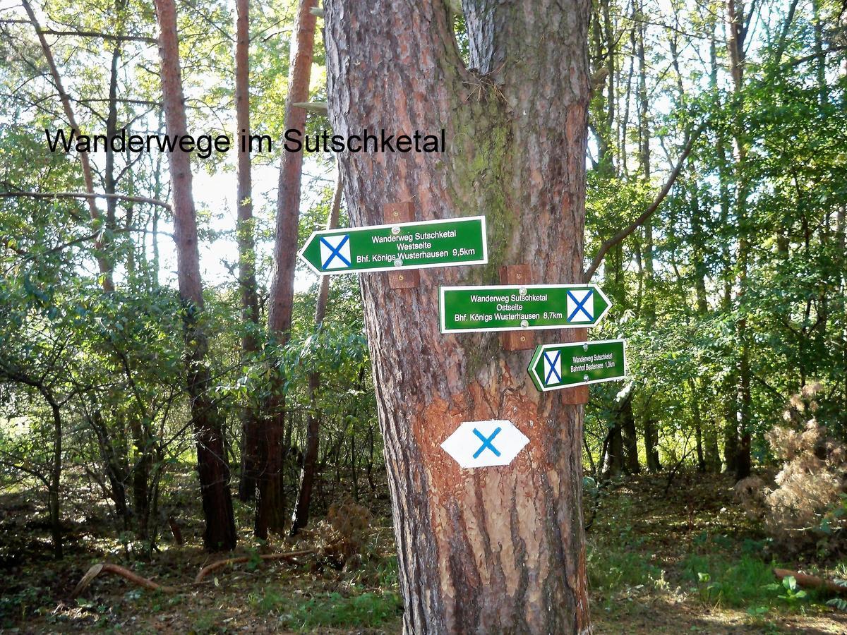Am Weinberg *