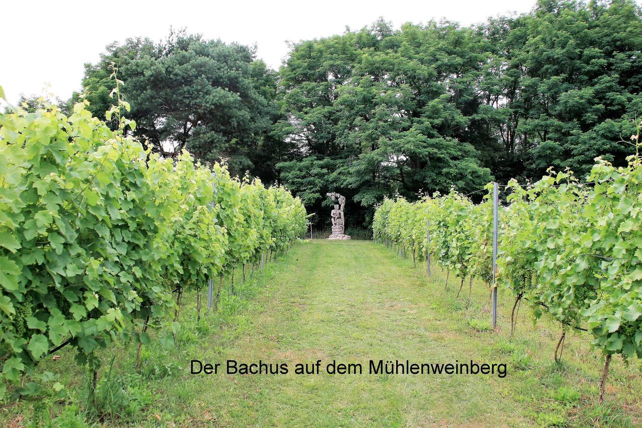 Am Weinberg Apartment Bestensee